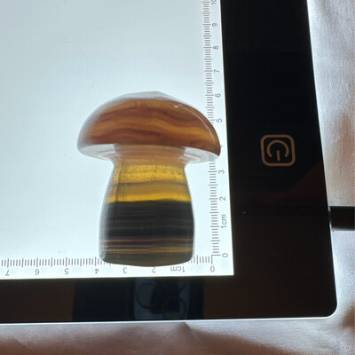2in Flourite Mushroom Carving #7