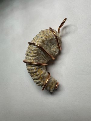 Biting Clam Fossil Pendant (160M Years Old est.)