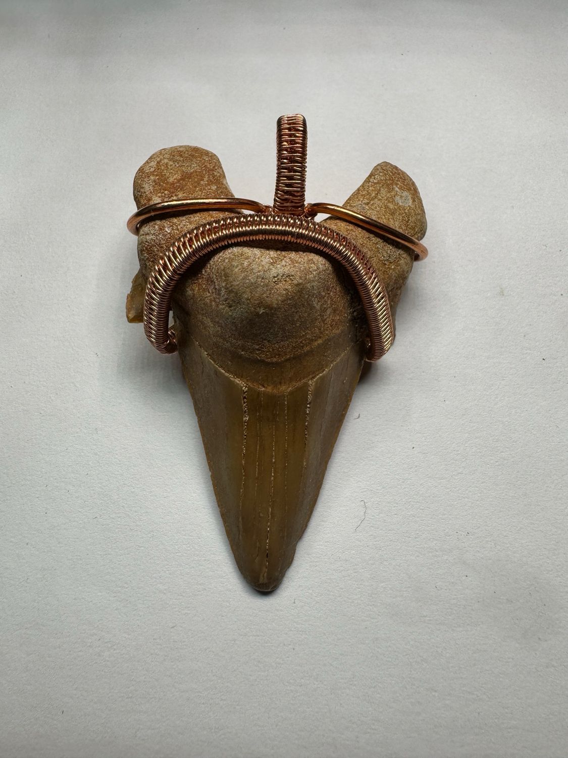 Shark Tooth Fossil Pendant (Lamna Oblique 37.5-50M Years Old est.)