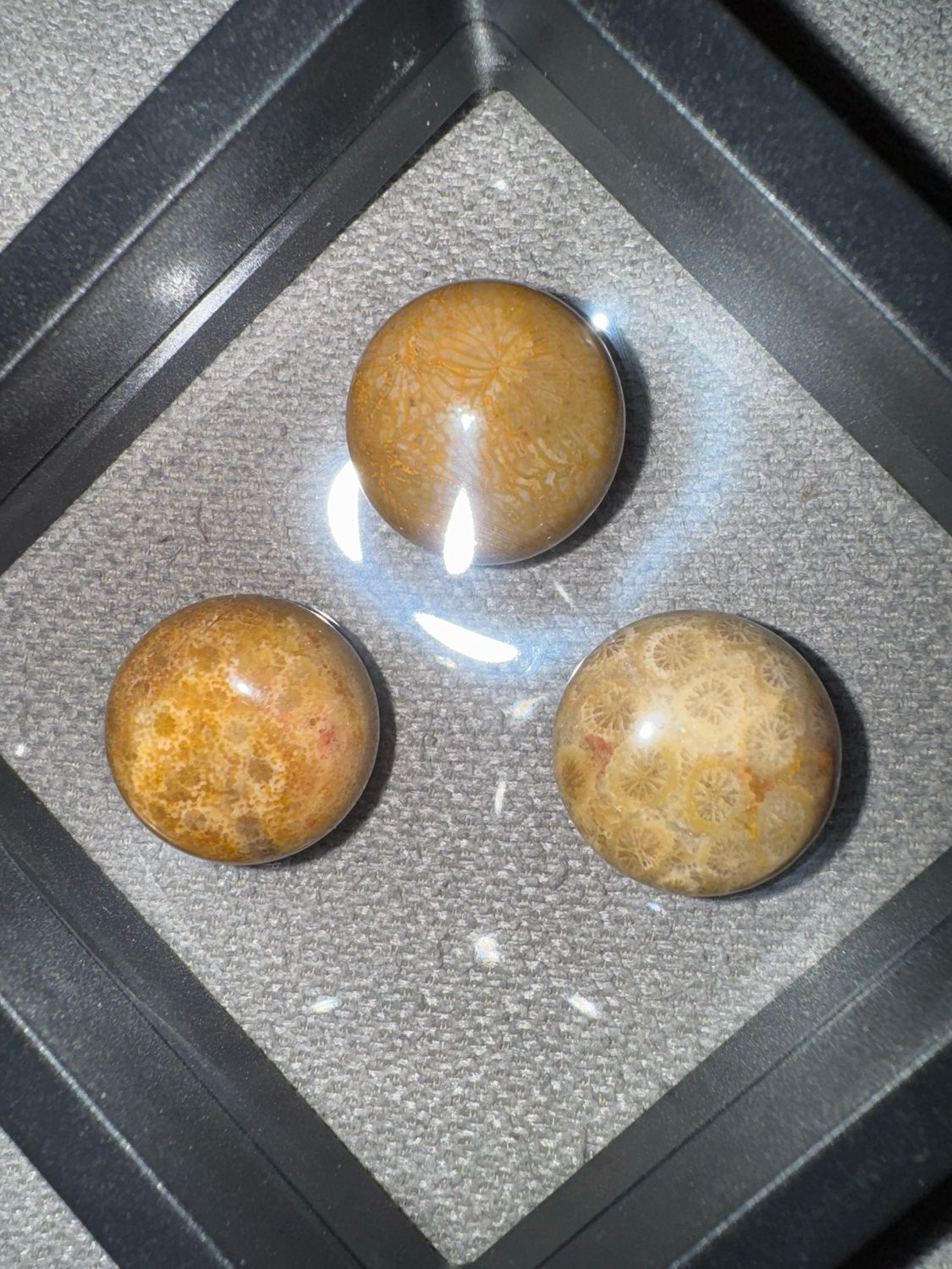 Coral Jasper Cabochons