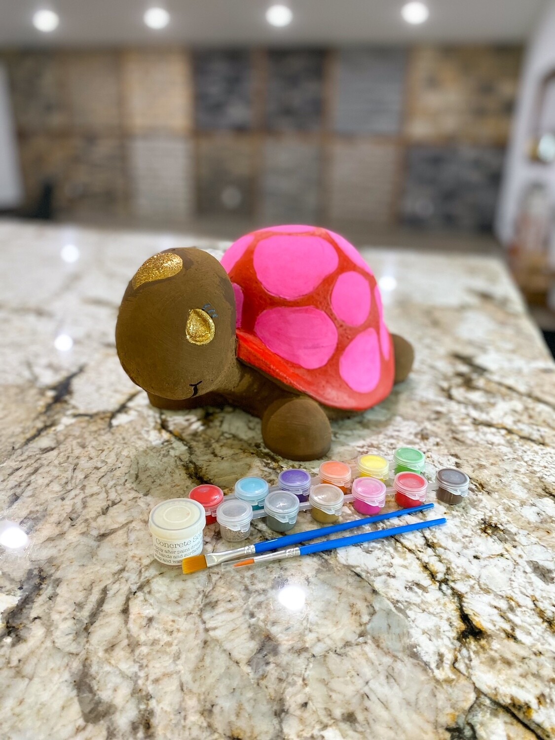 Turtle Buddy Kit