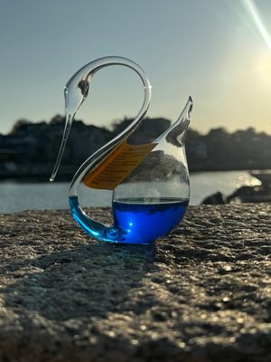Glass Barometer (Weather Predictor)