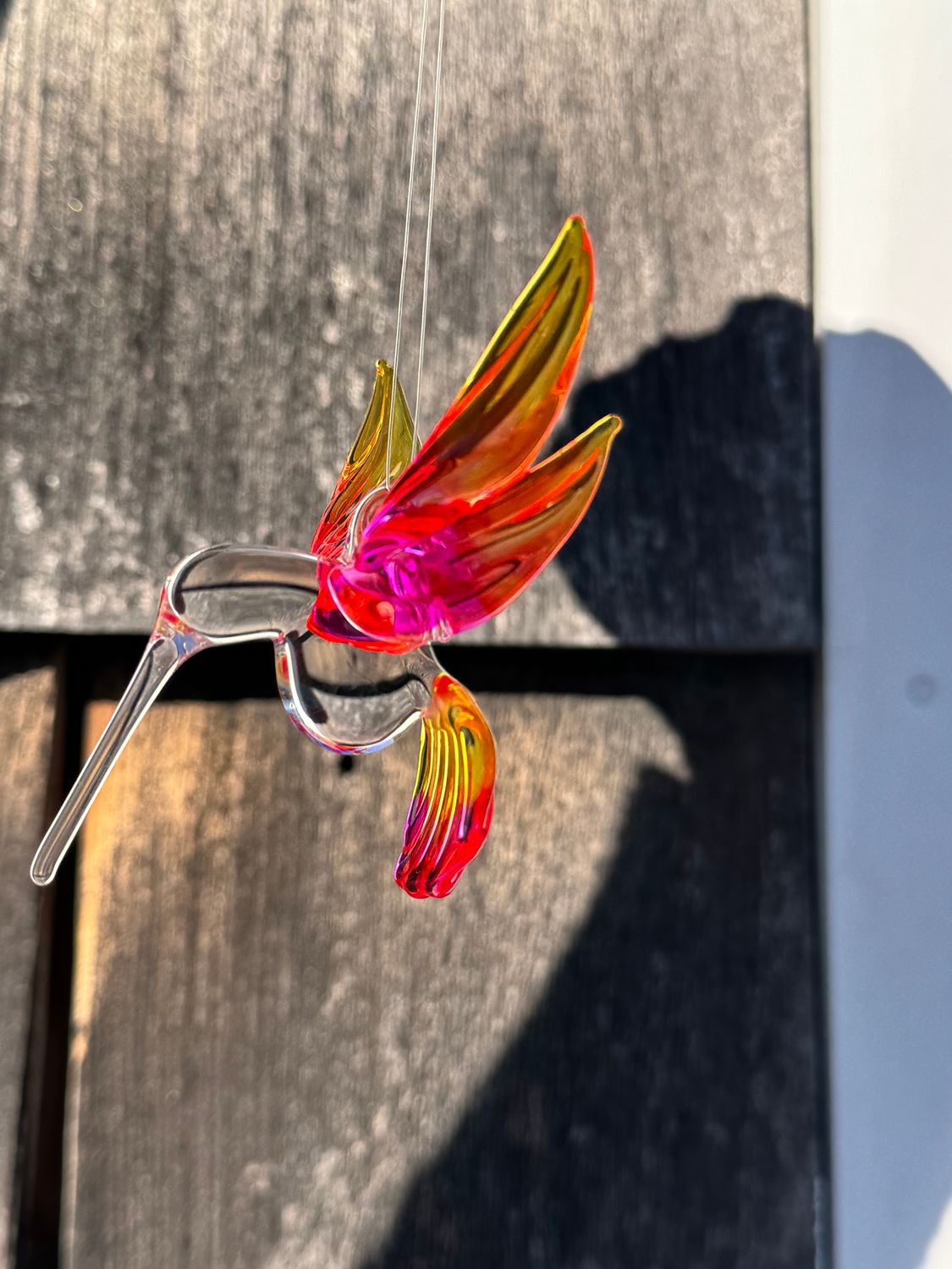 Hanging Hummingbird