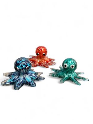 Coastal Sea Life