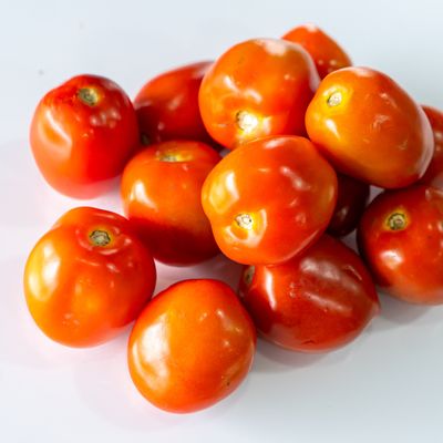 Fresh Tomato