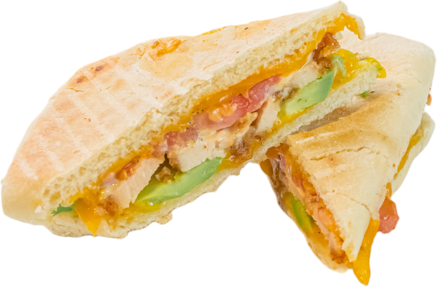 Panini - Tender (Large)
