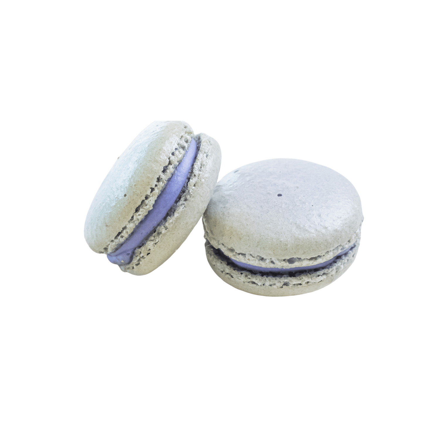 Macaron Blueberry