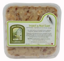 Insect and Nut Suet