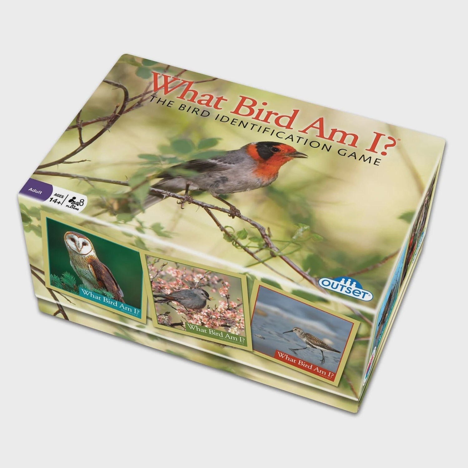 What Bird am I