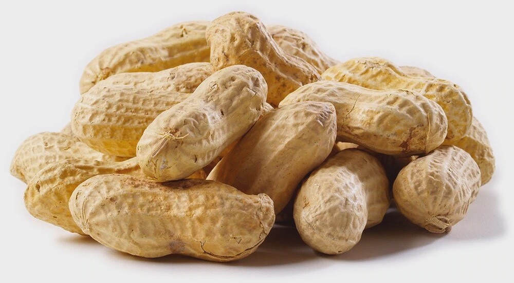Peanuts in shell- raw
