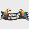 Another Day in Paradise