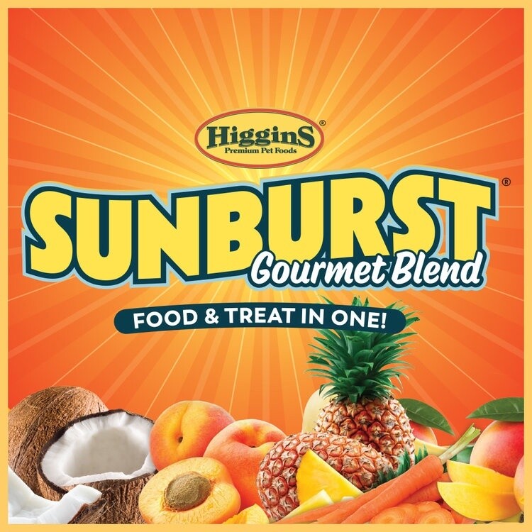 Sunburst Budgie Seed