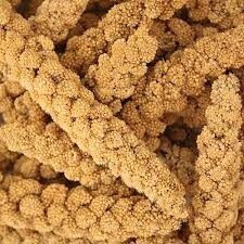 Spray Millet 5 pound