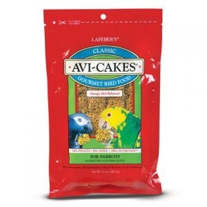 Avi- Cakes Parrot