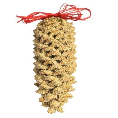 Large Pine Cone
