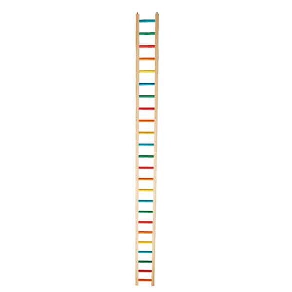 4ft Ladder