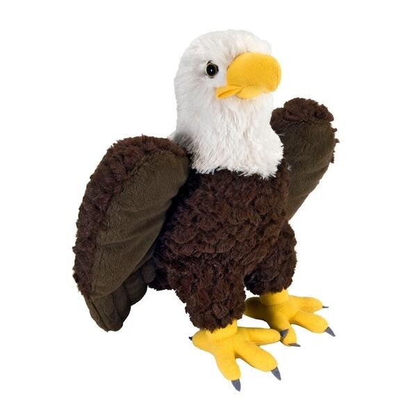 Artist Bald Eagle