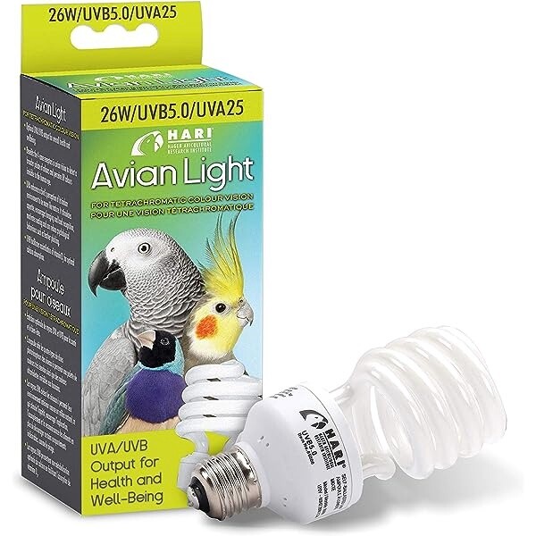 Avian Light
