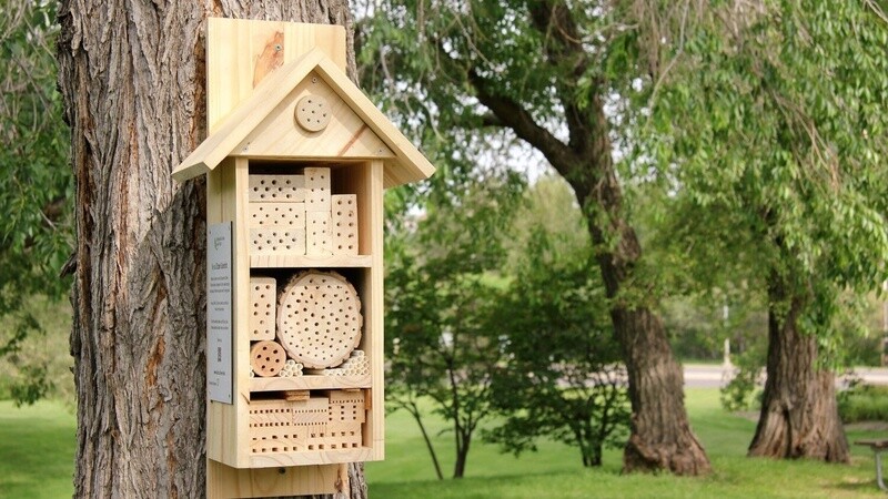 Bee Hotel