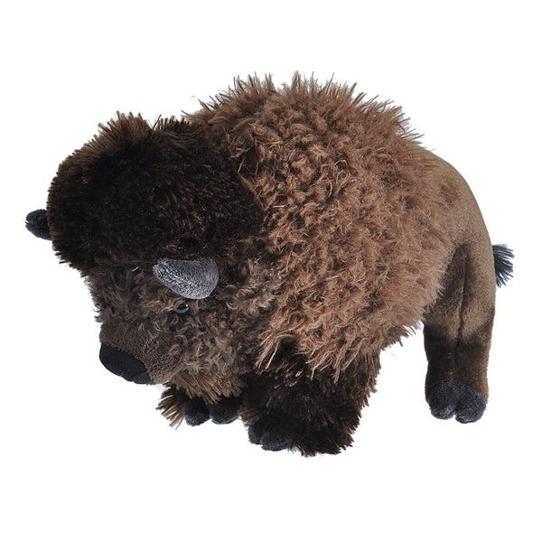 Bison