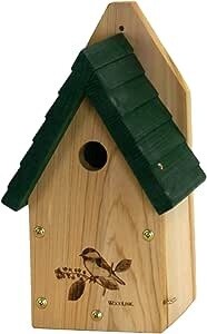 Green Roof Chickadee /wren