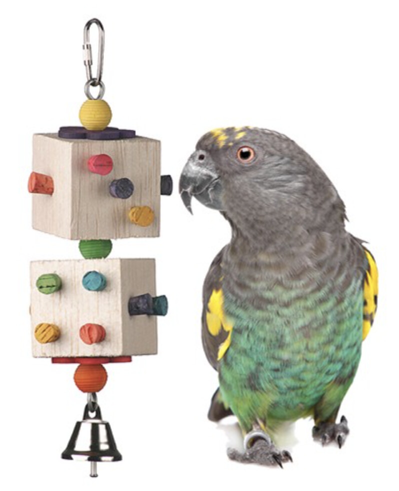 Parrot Dice