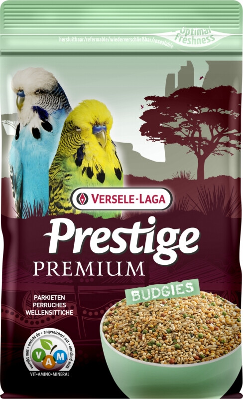 Prestige Budgie