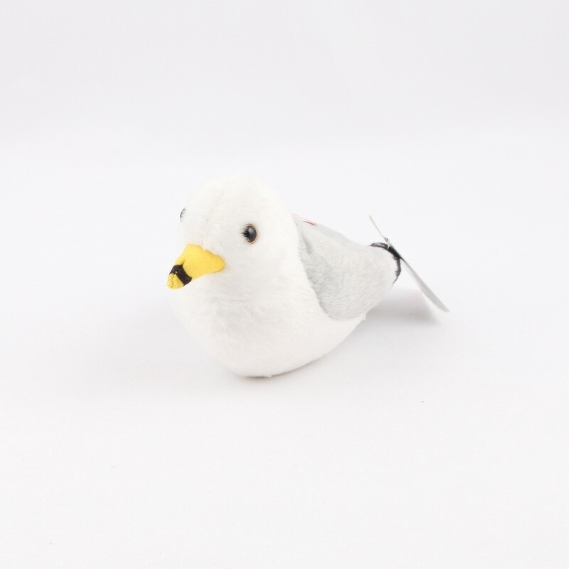 Ring Billed Gull