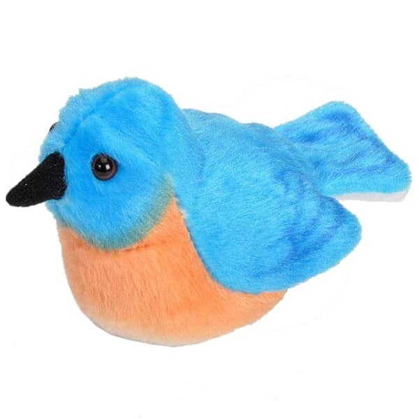 Eastern Bluebird