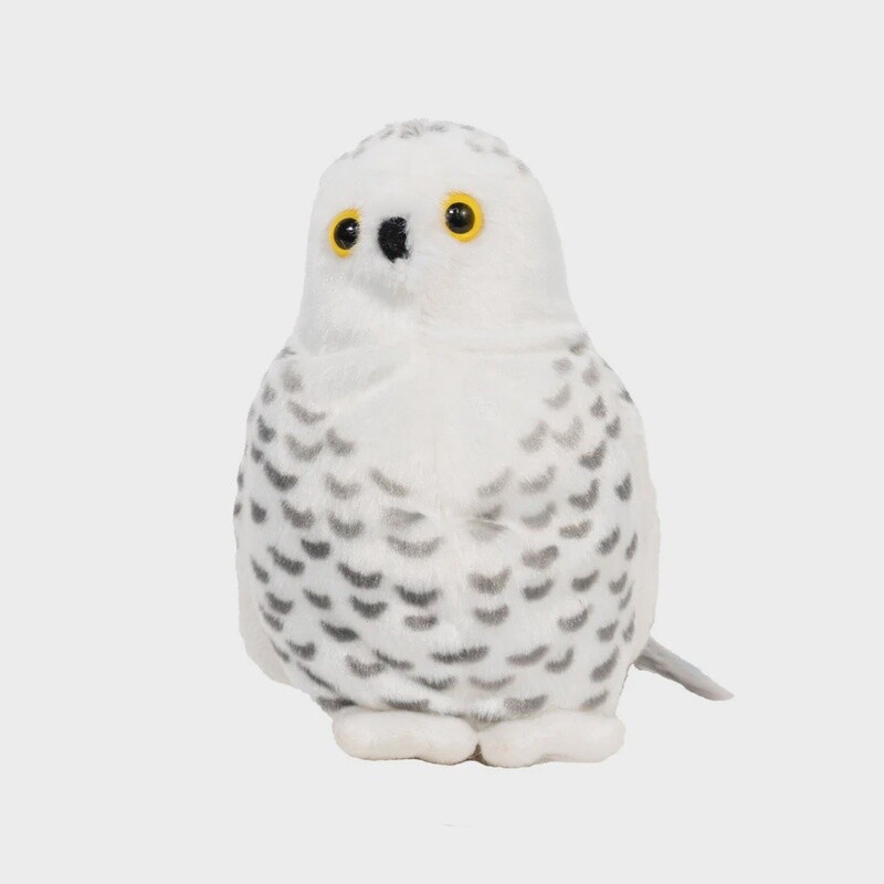 Snowy Owl