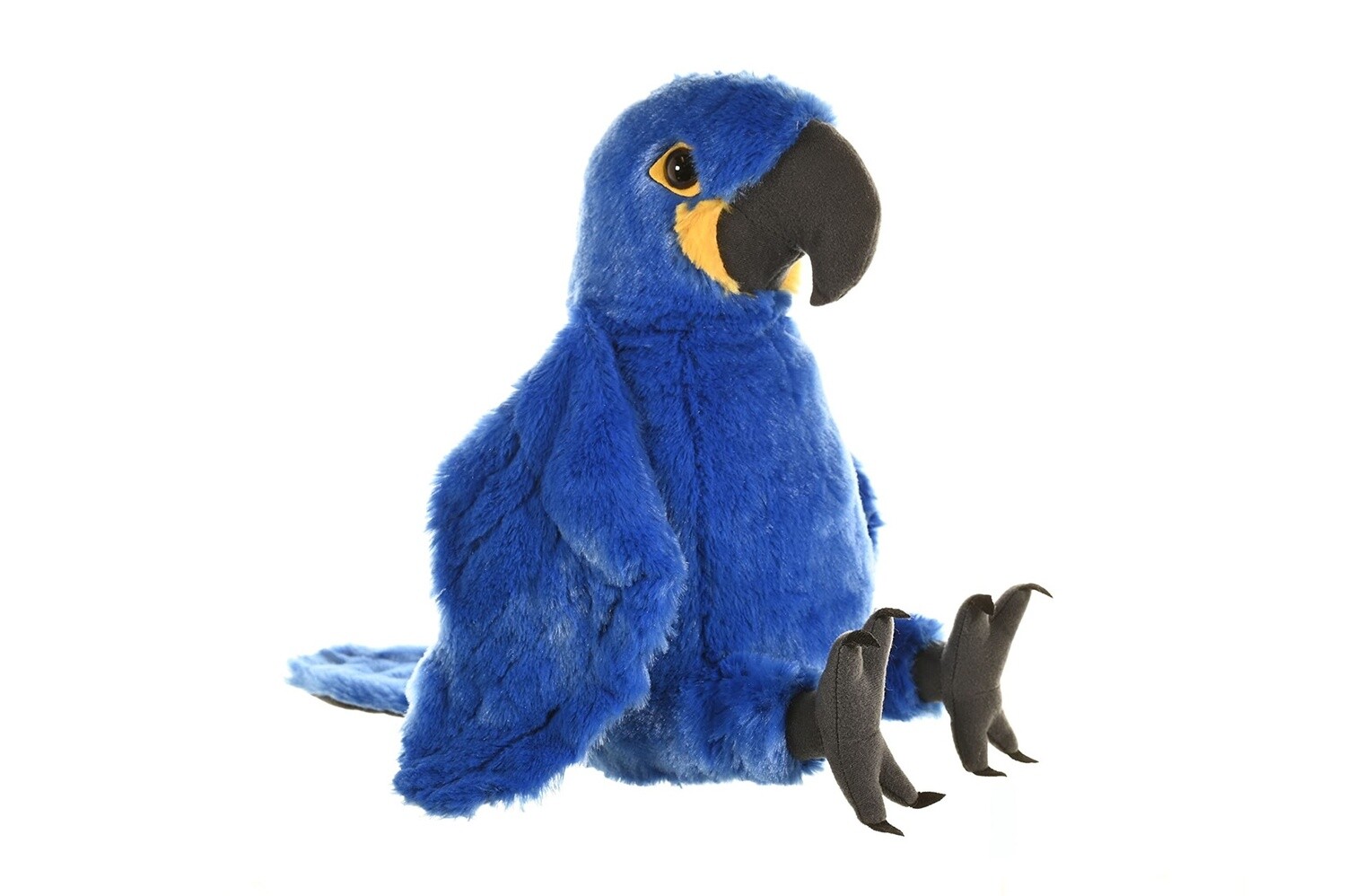 Hyacinth Macaw
