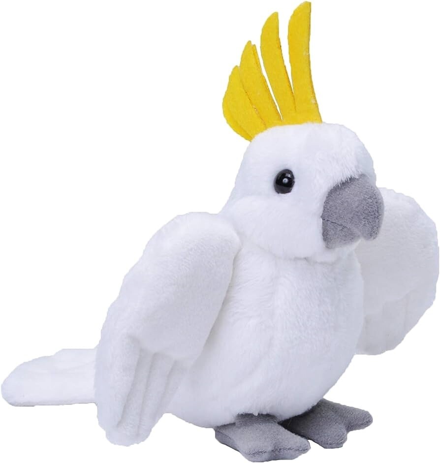 Eco Cockatoo