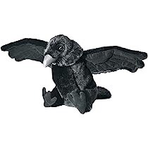 Raven