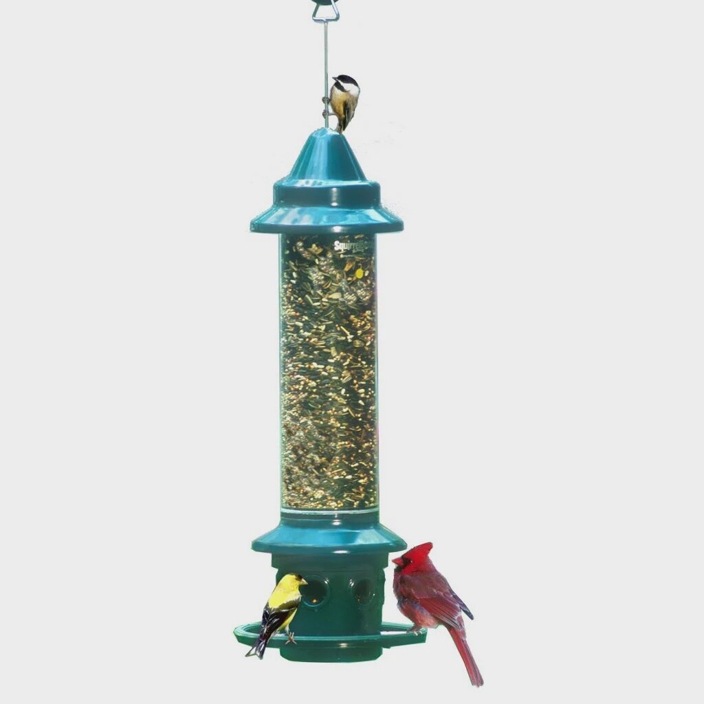 Squirrel Buster Plus