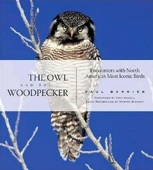 The Owl and The Woodpecker