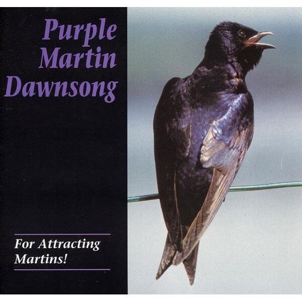 Purple Martin CD