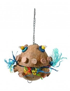 Cork Coconut