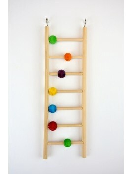 Jolly Jungle Ladder