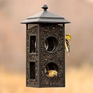 Fly Thru Seed Feeder