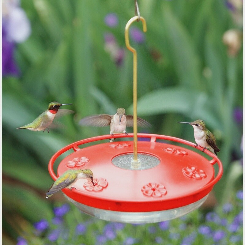 Excel High View Hummingbird Feeder