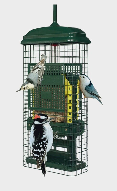 Squirrel buster suet