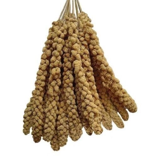Millet Spray 1 pound