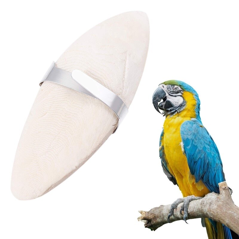 Large Cuttlebone