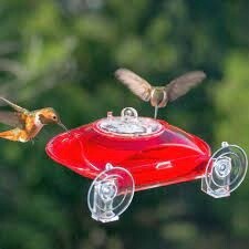 Droll Yankees window feeder