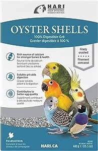 Oyster shells