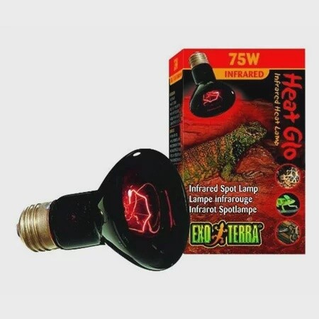 Infrared Basking Light