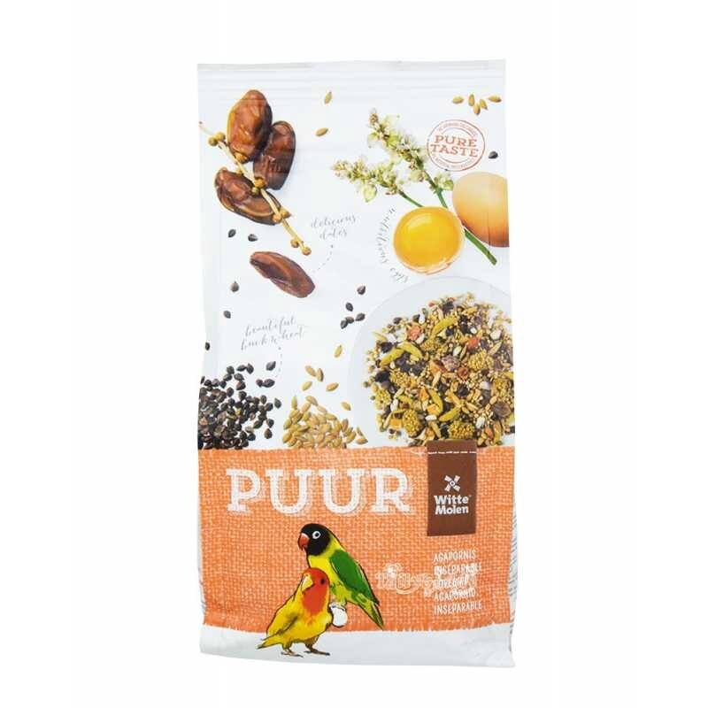Puur Lovebird