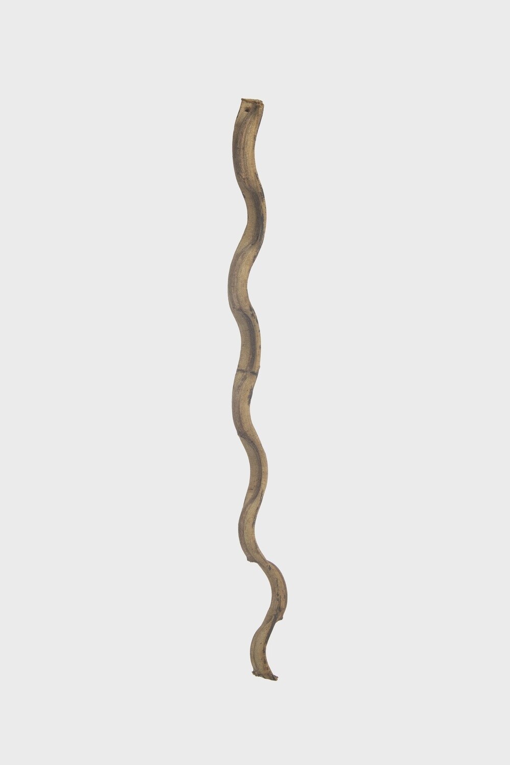 Wacky Wood 36&quot;