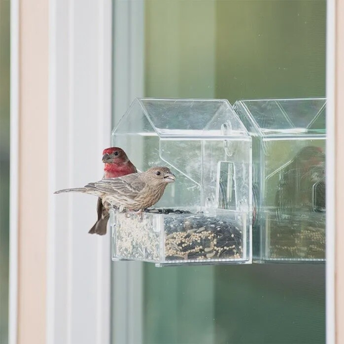Small Window Feeder
