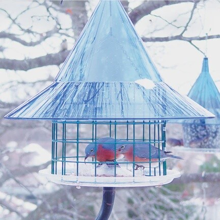 Sky Cafe Blue